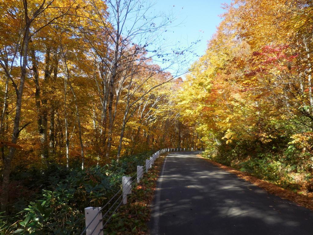 Shiga Park Hotel Yamanouchi  Εξωτερικό φωτογραφία