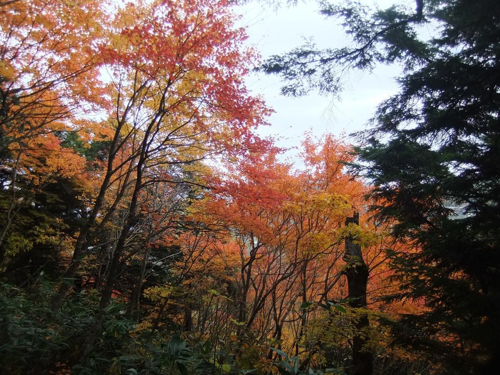 Shiga Park Hotel Yamanouchi  Εξωτερικό φωτογραφία