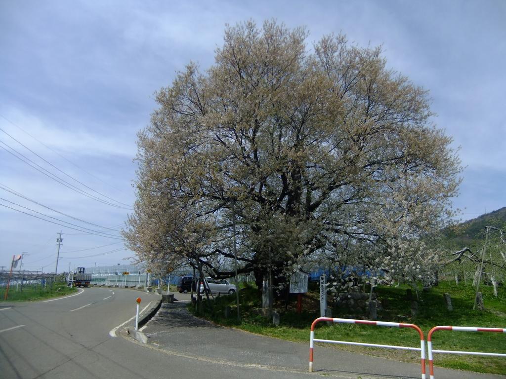 Shiga Park Hotel Yamanouchi  Εξωτερικό φωτογραφία