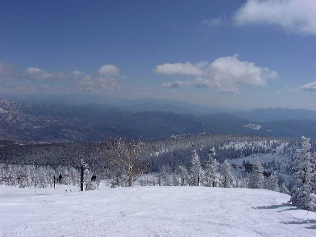 Shiga Park Hotel Yamanouchi  Εξωτερικό φωτογραφία