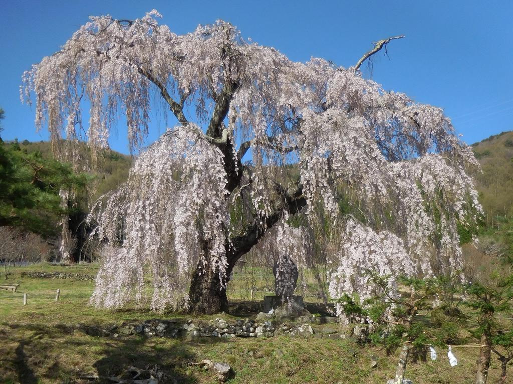 Shiga Park Hotel Yamanouchi  Εξωτερικό φωτογραφία